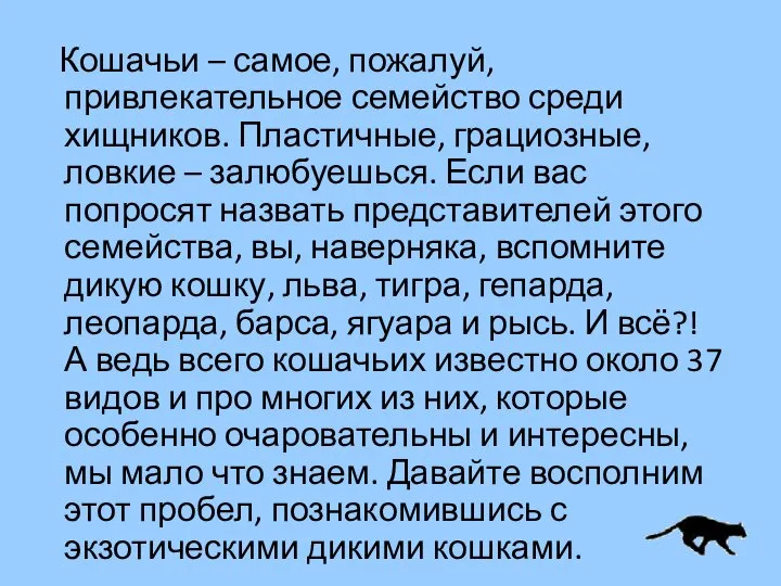 Кошачьи – самое, пожалуй, привлекательное семейство среди хищников. Пластичные, грациозные, ловкие