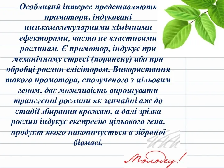 Особливий інтерес представляють промотори, індуковані низькомолекулярними хімічними ефекторами, часто не властивими