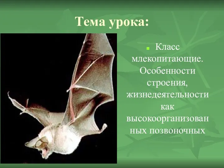 Тема урока: Класс млекопитающие. Особенности строения, жизнедеятельности как высокоорганизованных позвоночных