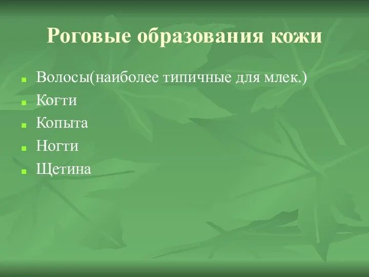 Роговые образования кожи Волосы(наиболее типичные для млек.) Когти Копыта Ногти Щетина