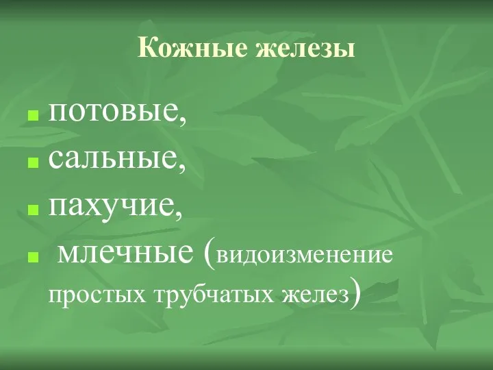 Кожные железы потовые, сальные, пахучие, млечные (видоизменение простых трубчатых желез)