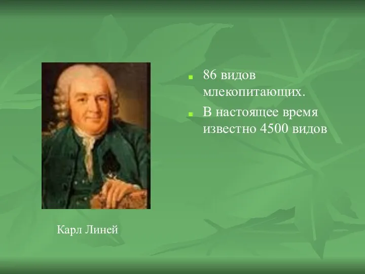 86 видов млекопитающих. В настоящее время известно 4500 видов Карл Линей