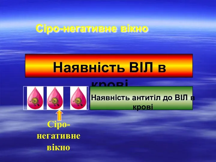 Сіро-негативне вікно Наявність ВІЛ в крові Наявність антитіл до ВІЛ в крові Сіро-негативне вікно