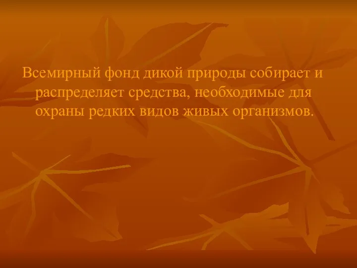 Всемирный фонд дикой природы собирает и распределяет средства, необходимые для охраны редких видов живых организмов.