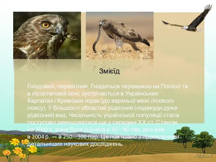 Змієїд Гніздовий, перелітний. Гніздиться переважно на Поліссі та в лісостеповій зоні;