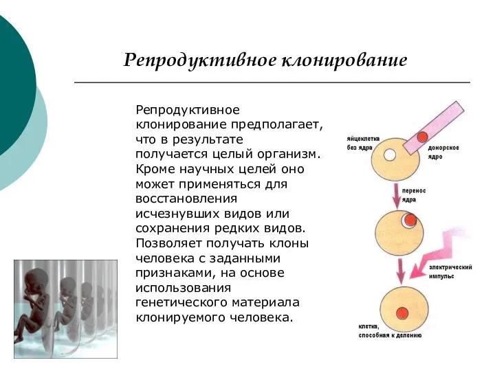 Репродуктивное клонирование Репродуктивное клонирование предполагает, что в результате получается целый организм.