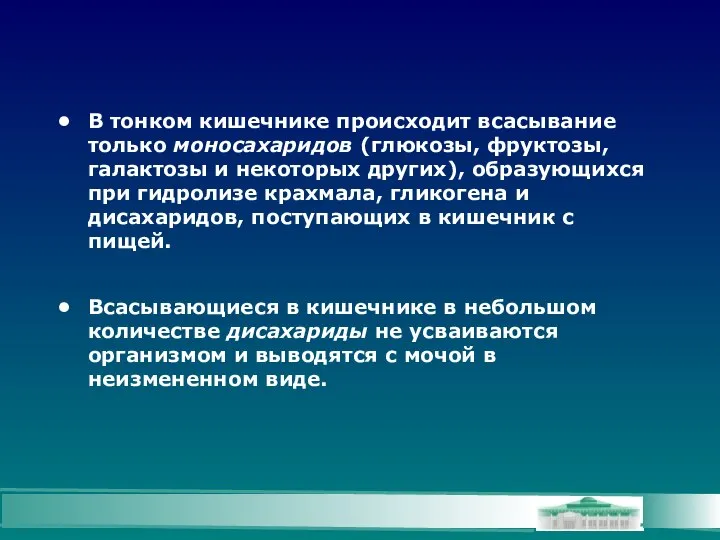 В тонком кишечнике происходит всасывание только моносахаридов (глюкозы, фруктозы, галактозы и