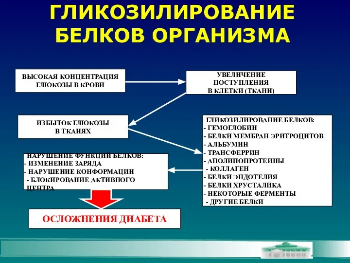 ГЛИКОЗИЛИРОВАНИЕ БЕЛКОВ ОРГАНИЗМА ВЫСОКАЯ КОНЦЕНТРАЦИЯ ГЛЮКОЗЫ В КРОВИ УВЕЛИЧЕНИЕ ПОСТУПЛЕНИЯ В