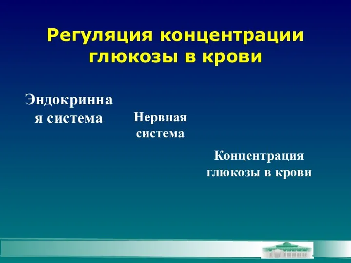 Регуляция концентрации глюкозы в крови Эндокринная система Нервная система Концентрация глюкозы в крови