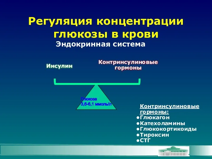 Регуляция концентрации глюкозы в крови Эндокринная система Инсулин Контринсулиновые гормоны Контринсулиновые