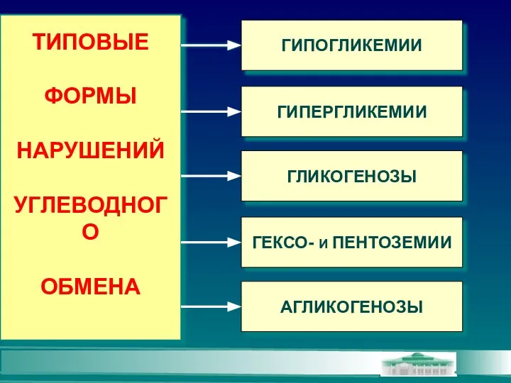 ТИПОВЫЕ ФОРМЫ НАРУШЕНИЙ УГЛЕВОДНОГО ОБМЕНА ГИПОГЛИКЕМИИ ГИПЕРГЛИКЕМИИ ГЛИКОГЕНОЗЫ ГЕКСО- И ПЕНТОЗЕМИИ АГЛИКОГЕНОЗЫ