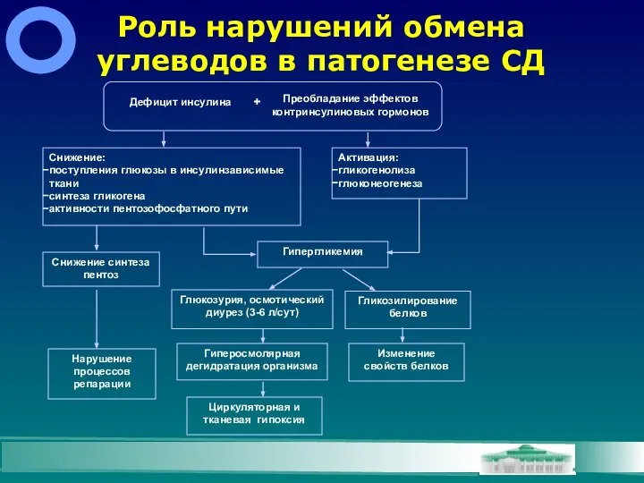 Роль нарушений обмена углеводов в патогенезе СД Дефицит инсулина Снижение: поступления