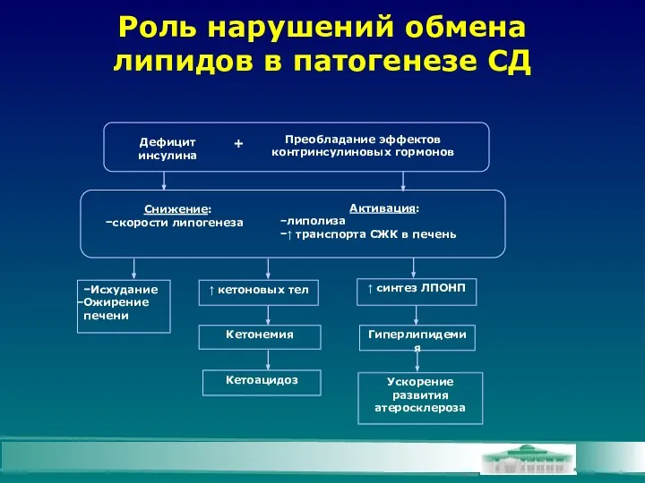 Роль нарушений обмена липидов в патогенезе СД Дефицит инсулина Снижение: скорости