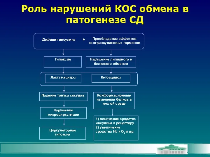 Роль нарушений КОС обмена в патогенезе СД Дефицит инсулина Гипоксия Преобладание