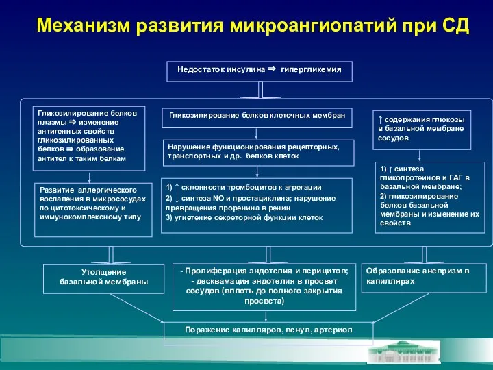 Механизм развития микроангиопатий при СД Гликозилирование белков клеточных мембран ↑ содержания