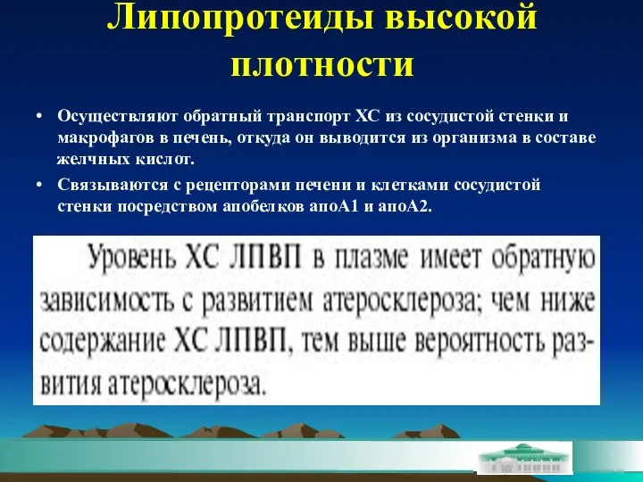 Липопротеиды высокой плотности Осуществляют обратный транспорт ХС из сосудистой стенки и