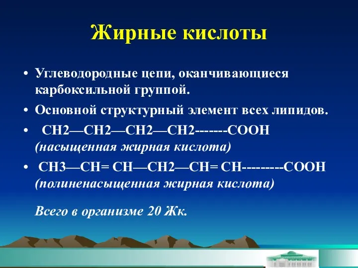 Жирные кислоты Углеводородные цепи, оканчивающиеся карбоксильной группой. Основной структурный элемент всех