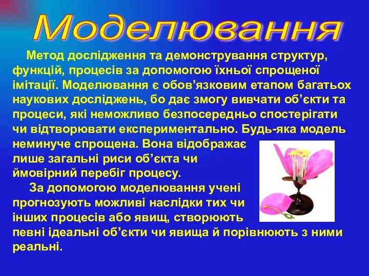 Метод дослідження та демонстрування структур, функцій, процесів за допомогою їхньої спрощеної