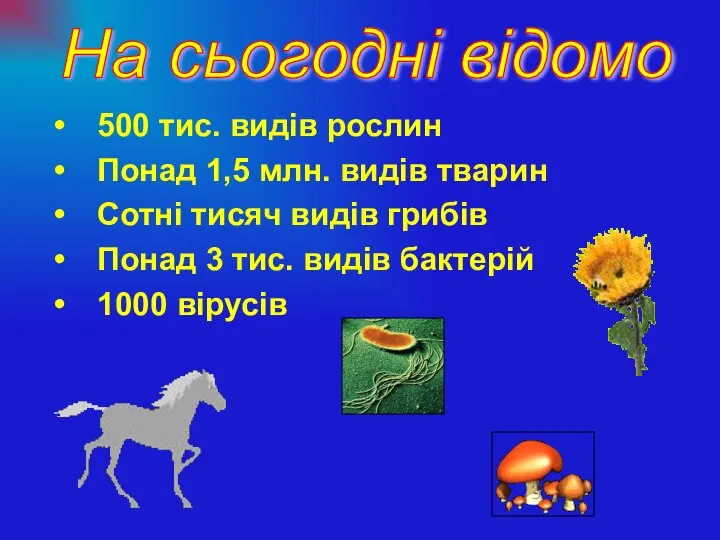 500 тис. видів рослин Понад 1,5 млн. видів тварин Сотні тисяч