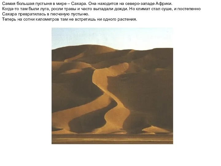 Самая большая пустыня в мире – Сахара. Она находится на северо-западе