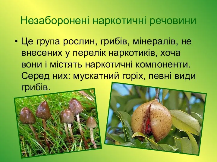 Незаборонені наркотичні речовини Це група рослин, грибів, мінералів, не внесених у