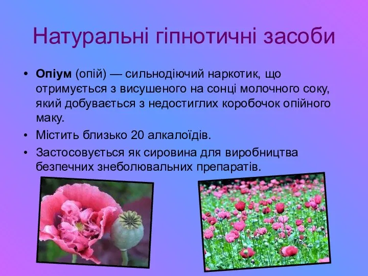 Натуральні гіпнотичні засоби Опіум (опій) — сильнодіючий наркотик, що отримується з