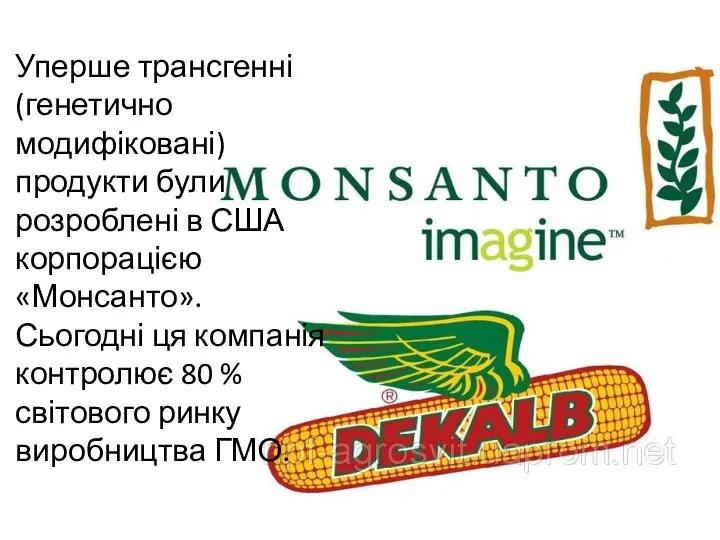 Уперше трансгенні (генетично модифіковані) продукти були розроблені в США корпорацією «Монсанто».