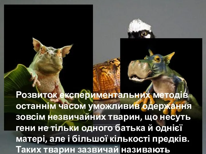 Розвиток експериментальних методів останнім часом уможливив одержання зовсім незвичайних тварин, що