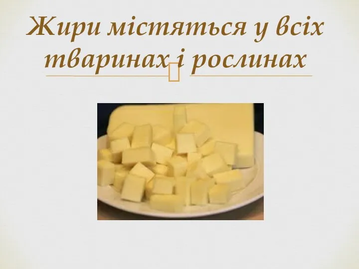 Жири містяться у всіх тваринах і рослинах