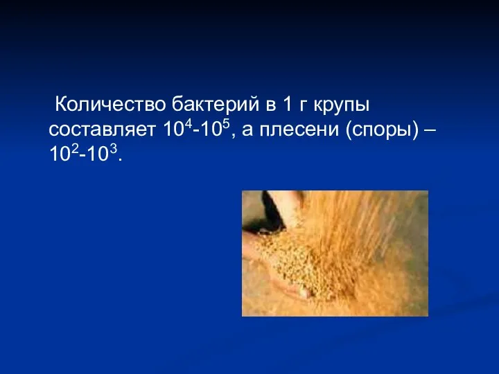 Количество бактерий в 1 г крупы составляет 104-105, а плесени (споры) – 102-103.