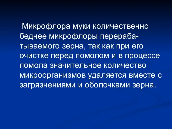 Микрофлора муки количественно беднее микрофлоры перераба-тываемого зерна, так как при его