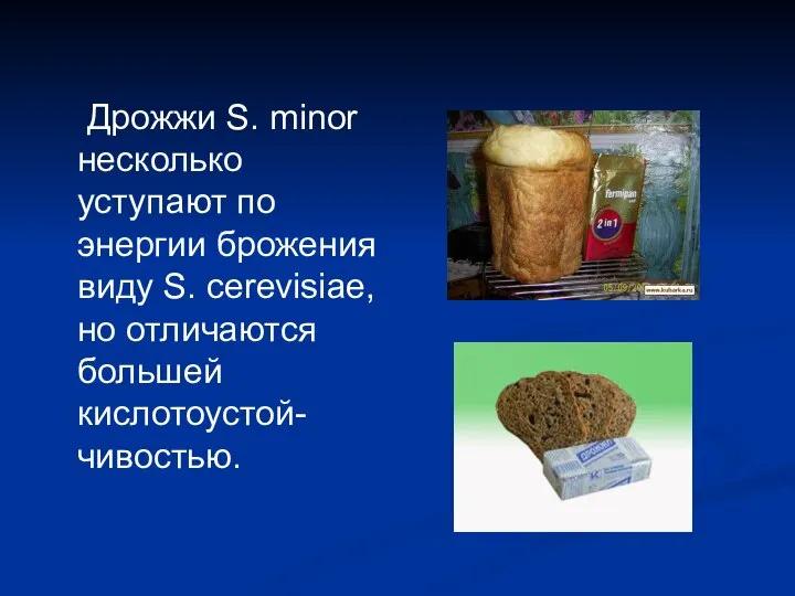 Дрожжи S. minor несколько уступают по энергии брожения виду S. cerevisiae, но отличаются большей кислотоустой-чивостью.