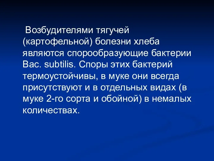 Возбудителями тягучей (картофельной) болезни хлеба являются спорообразующие бактерии Bac. subtilis. Споры