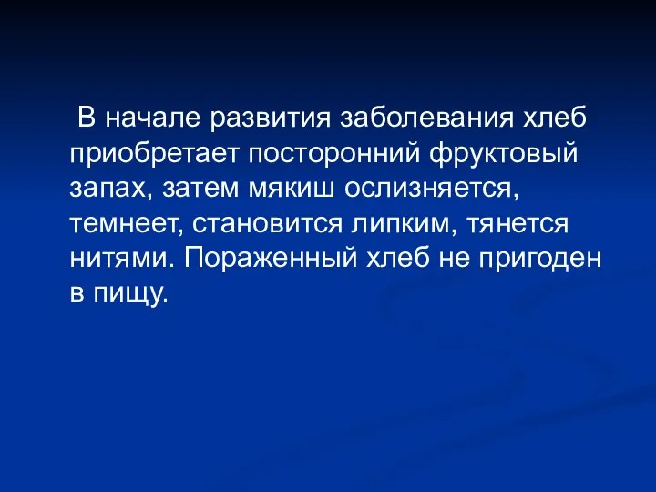 В начале развития заболевания хлеб приобретает посторонний фруктовый запах, затем мякиш