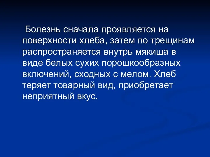 Болезнь сначала проявляется на поверхности хлеба, затем по трещинам распространяется внутрь