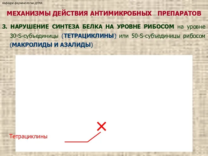 МЕХАНИЗМЫ ДЕЙСТВИЯ АНТИМИКРОБНЫХ ПРЕПАРАТОВ 3. НАРУШЕНИЕ СИНТЕЗА БЕЛКА НА УРОВНЕ РИБОСОМ