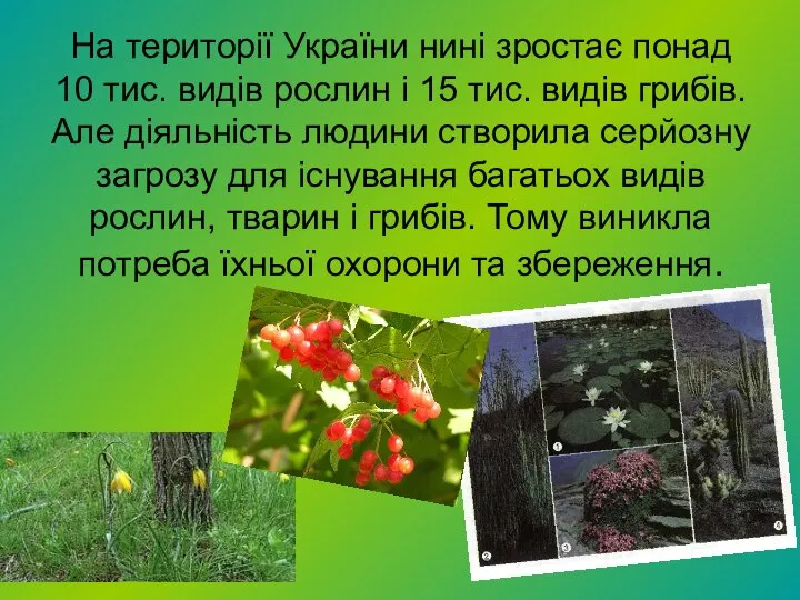На території України нині зростає понад 10 тис. видів рослин і