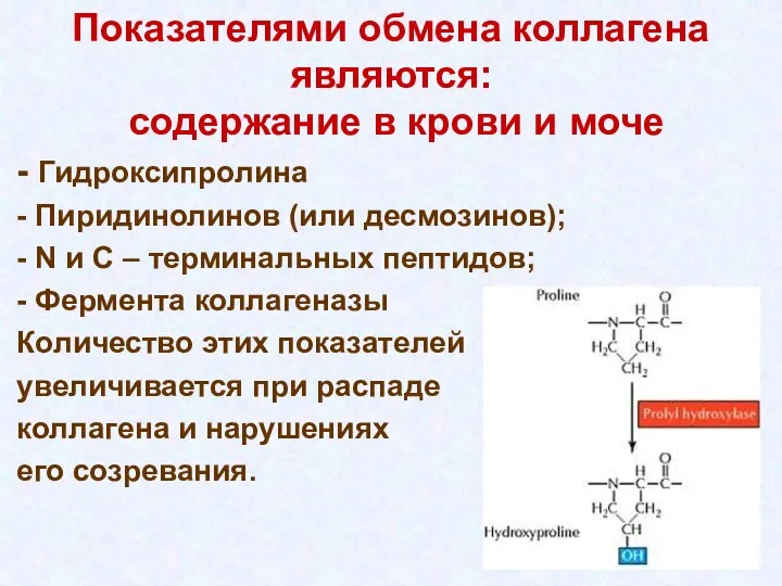 Показателями обмена коллагена являются: содержание в крови и моче - Гидроксипролина