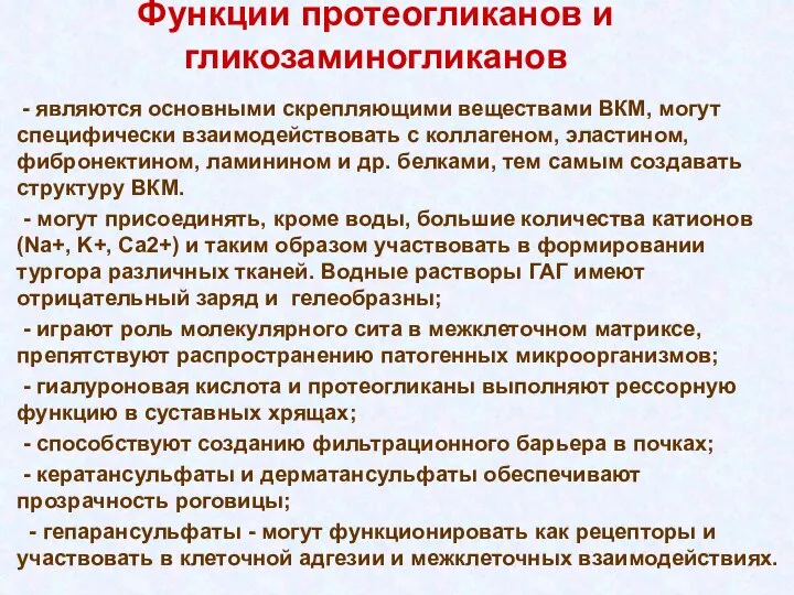 Функции протеогликанов и гликозаминогликанов - являются основными скрепляющими веществами ВКМ, могут