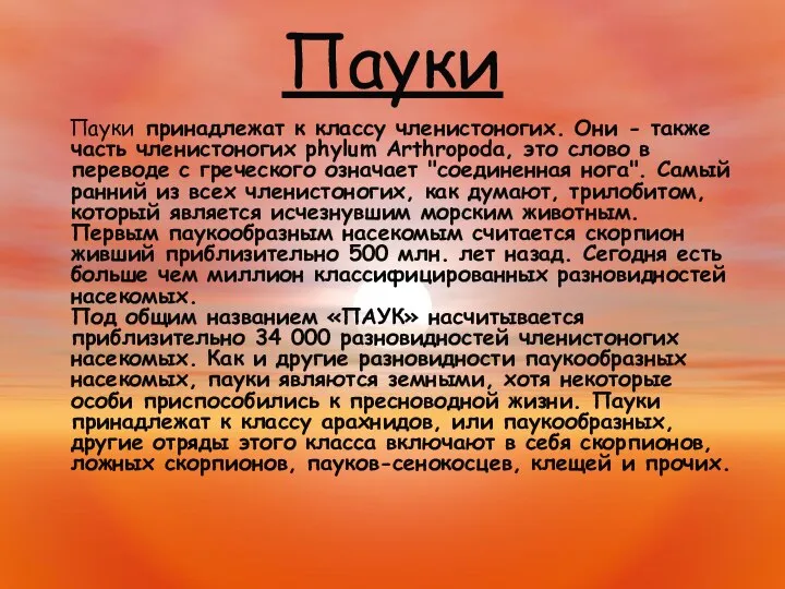 Пауки Пауки принадлежат к классу членистоногих. Они - также часть членистоногих