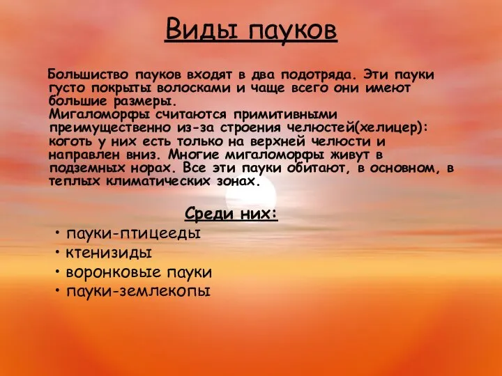 Виды пауков Большиство пауков входят в два подотряда. Эти пауки густо