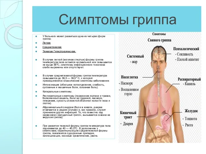 Симптомы гриппа У больного может развиться одна из четырех форм гриппа: