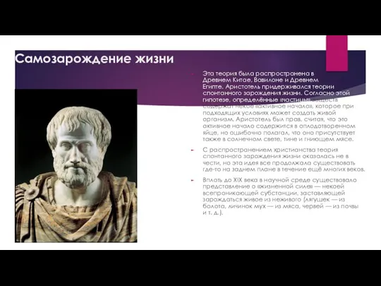 Самозарождение жизни Эта теория была распространена в Древнем Китае, Вавилоне и