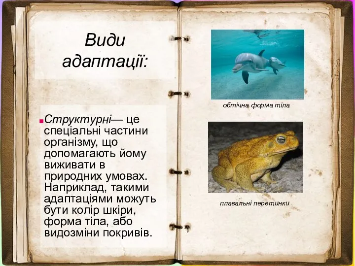 Види адаптації: Структурні— це спеціальні частини організму, що допомагають йому виживати