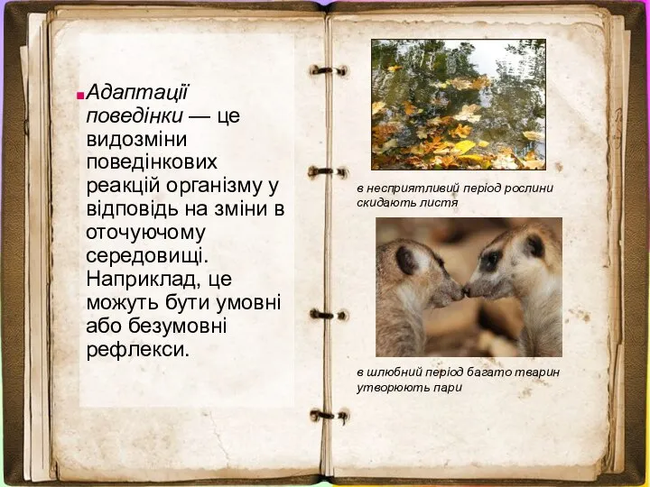 Адаптації поведінки — це видозміни поведінкових реакцій організму у відповідь на