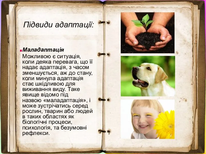 Підвиди адаптації: Маладаптація Можливою є ситуація, коли деяка перевага, що її