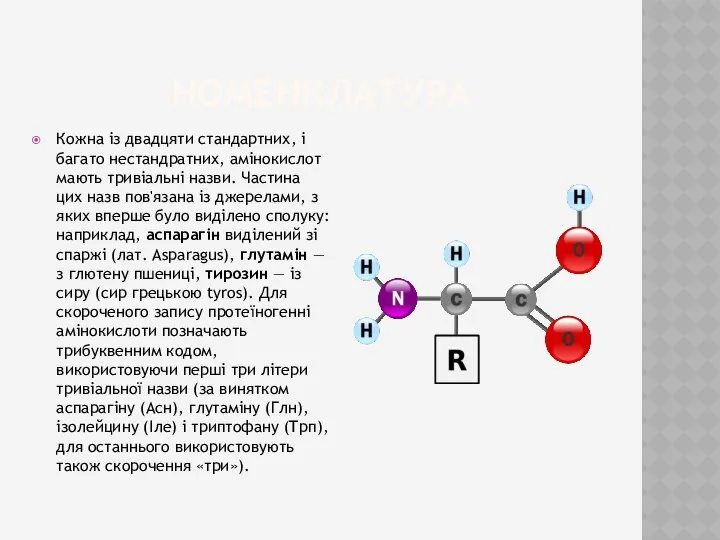 номенклатура Кожна із двадцяти стандартних, і багато нестандратних, амінокислот мають тривіальні