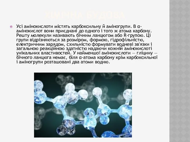 Хімічна будова Усі амінокислоти містять карбоксильну й аміногрупи. В α-амінокислот вони