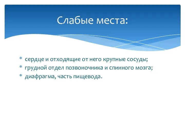 сердце и отходящие от него крупные сосуды; грудной отдел позвоночника и