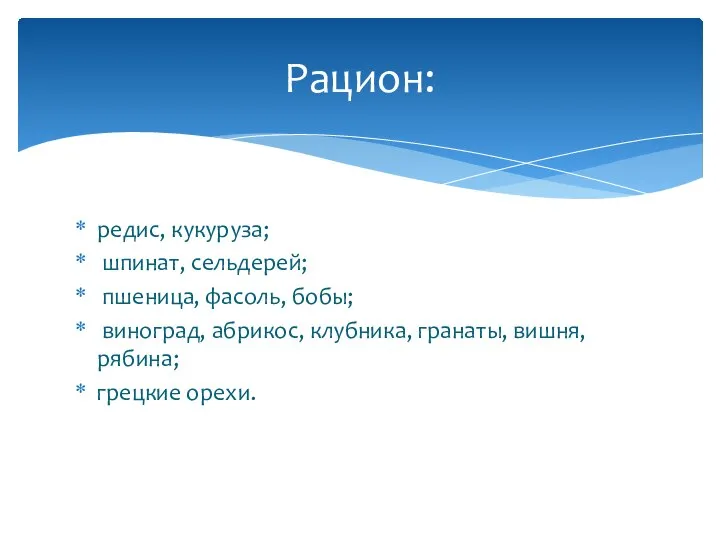 редис, кукуруза; шпинат, сельдерей; пшеница, фасоль, бобы; виноград, абрикос, клубника, гранаты, вишня, рябина; грецкие орехи. Рацион: